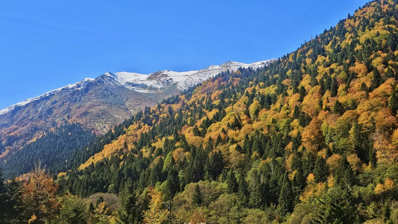 Burası Karadeniz’in İsviçre'si: Sonbaharda görsel şölen sunuyor - Resim: 19