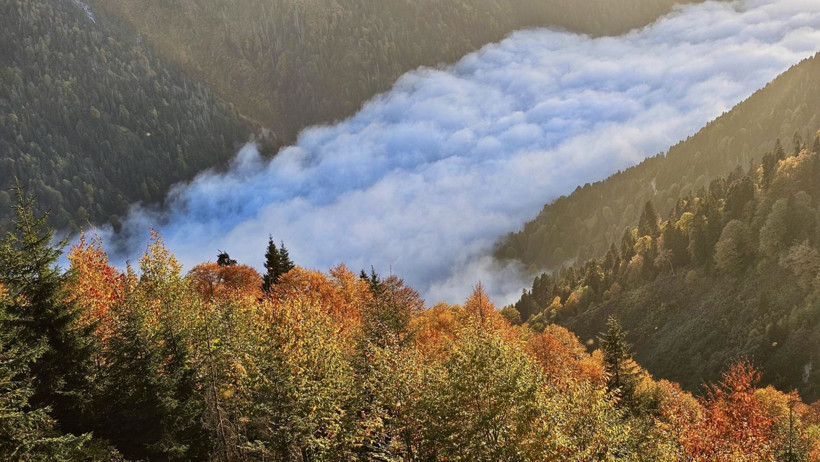 Burası Karadeniz’in İsviçre'si: Sonbaharda görsel şölen sunuyor - Resim: 4