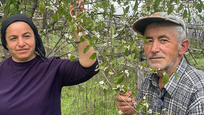 Ağaçlar yalancı bahara kandı - Resim : 1