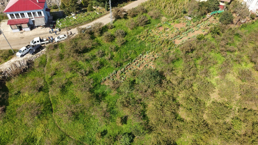 Fındıkta kokarca paniği - Resim : 1