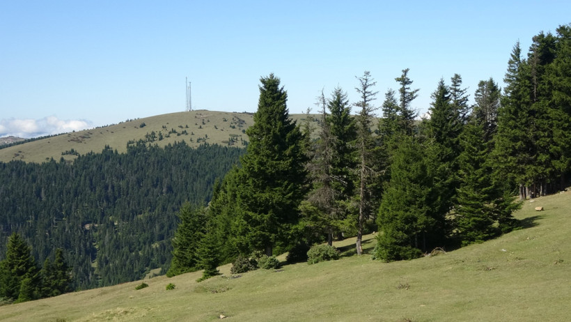 Yağışlar arttı, toprak kayıyor: Karadeniz’de heyelan endişesi - Resim : 1