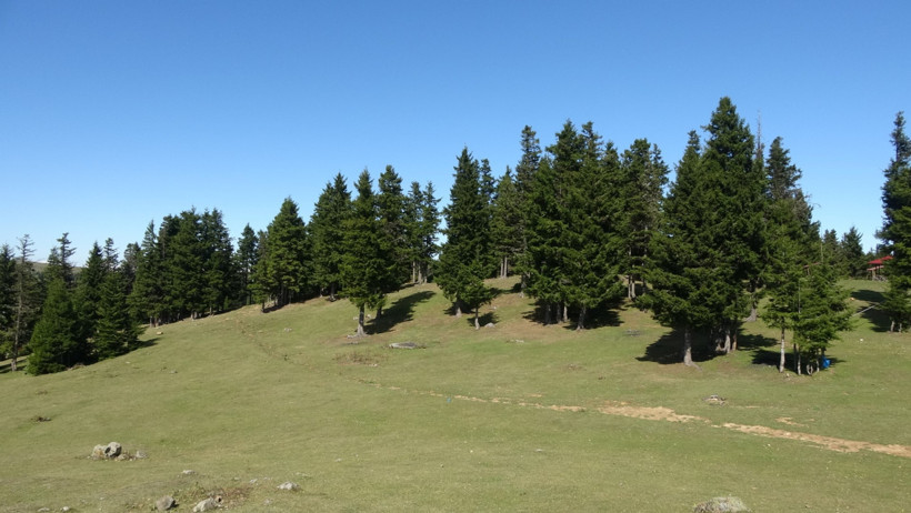 Yağışlar arttı, toprak kayıyor: Karadeniz’de heyelan endişesi - Resim : 2