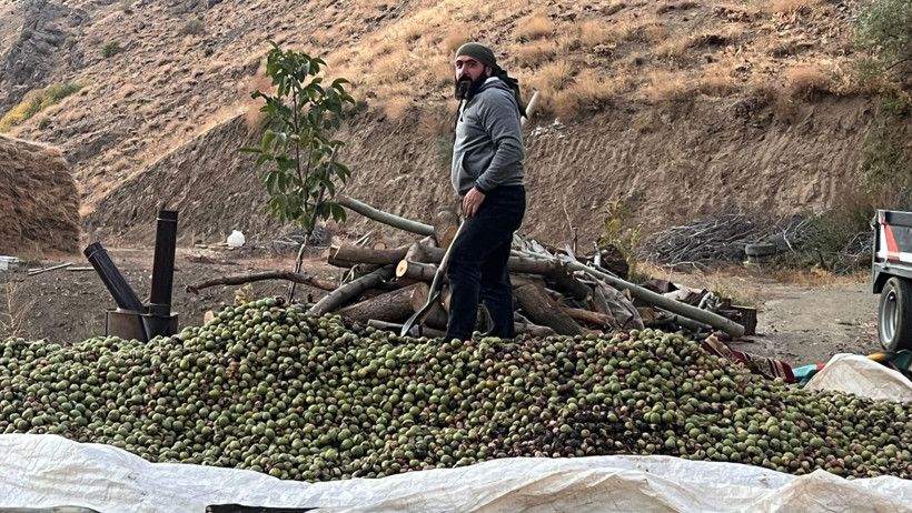 Babasından kalma araziden 8 ton ceviz topladı - Resim : 2