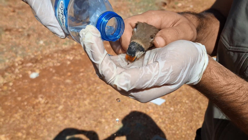 Son anda yakalandılar: 10 milyon 897 bin TL ceza kesildi - Resim : 1