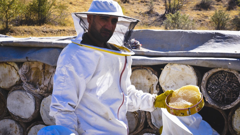 Hasat başladı: Kilosu 3 bin 500 TL - Resim : 1
