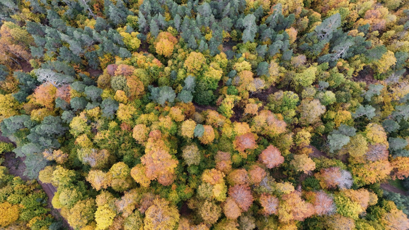 Karabük'te renk cümbüşü - Resim : 2