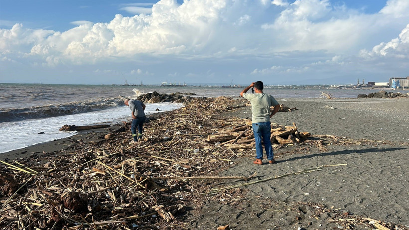 Sahile vuran binlerce kütük, Akdeniz’in rengini değiştirdi - Resim : 4