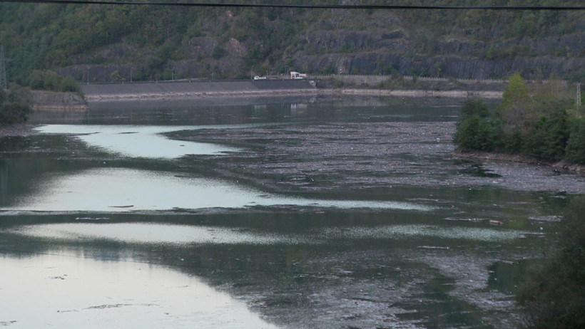 Selin sürüklediği tomruklar Muratlı Barajı’nı kapladı - Resim : 3