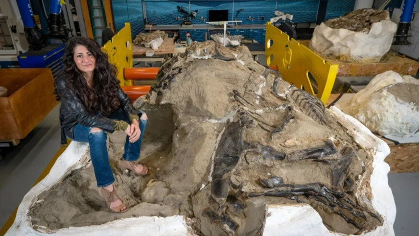 19 yıl T. rex sanıldı, meğer başka bir dinozor türüymüş - Resim : 1