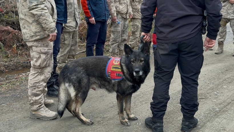 Kastamonu'da sır kayıp! Anne ve oğlu günlerdir aranıyor - Resim : 9