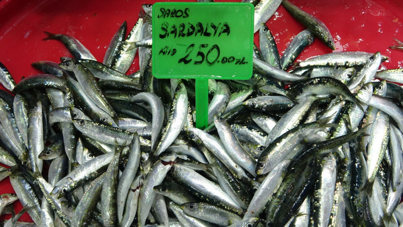 Hamsi ve sardalya tezgahtaki yerini koruyor - Resim : 1