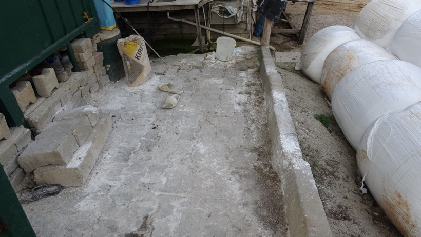 Şile'de şap alarmı! Üç köy karantinada - Resim : 4