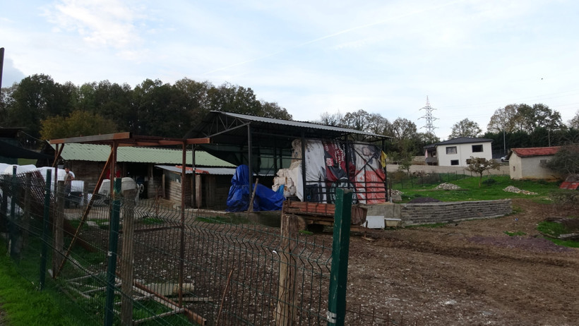 Şile'de şap alarmı! Üç köy karantinada - Resim : 3