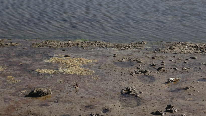 Barajda su çekildi, 58 yıllık dede toprağı gün yüzüne çıktı - Resim : 1