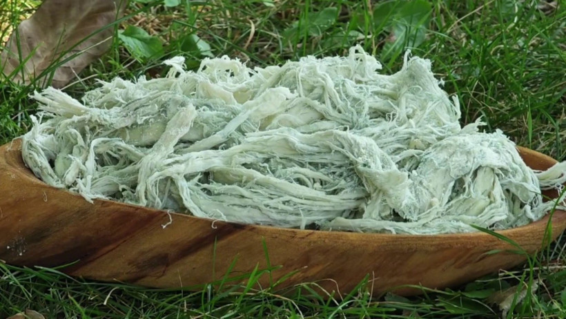 Kış aylarında doğal antibiyotik: Kilosu 500 liradan satılıyor - Resim : 2