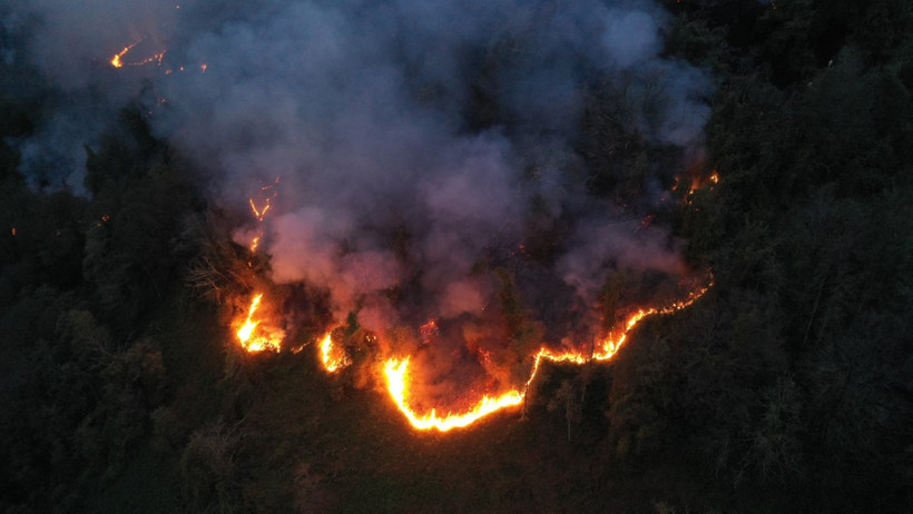 Artvin’de örtü yangını - Resim : 1