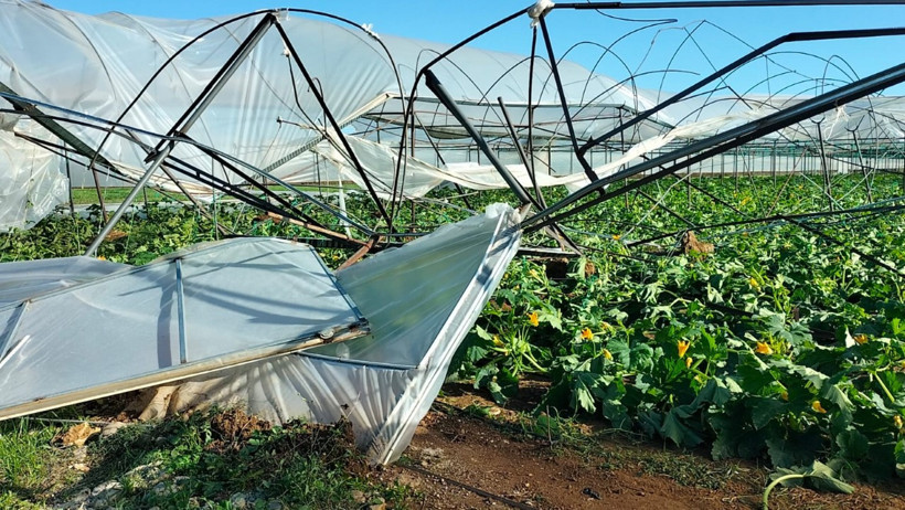 Hortum, seraları yerle bir etti - Resim : 2