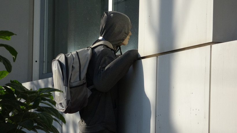 Şehrin en çok ihbar edilen ‘hırsızı’ aslında bir manken - Resim : 1