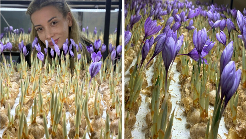 Mali müşavirliği bırakıp üretime başladı: Gramı 700 TL - Resim : 1