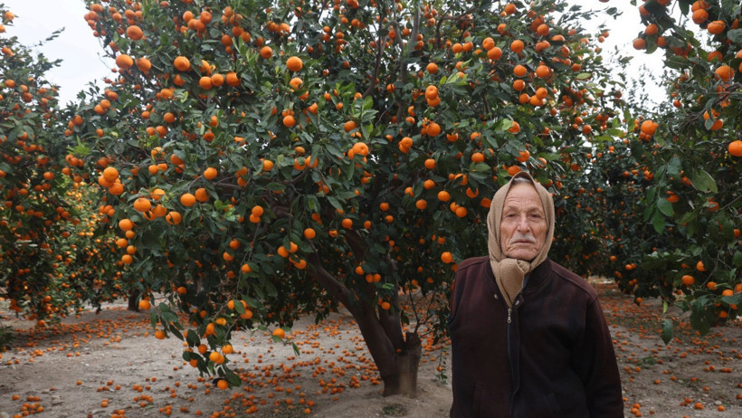 Bedavaya bile alan yok! Toprak turuncuya döndü... - Resim : 1