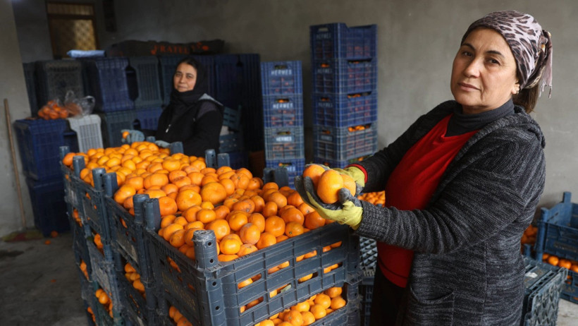 Bedavaya bile alan yok! Toprak turuncuya döndü... - Resim : 2