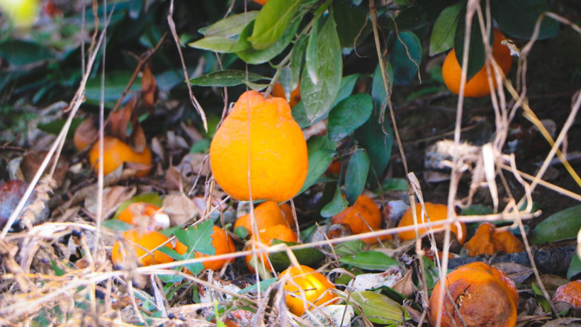 'Sanayiye bile verilemez hale geldi' dedi, kötü haberi verdi - Resim : 1