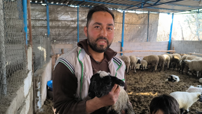 Kuzu çift başlı, iki ağızlı ve dört gözlü doğdu - Resim : 1