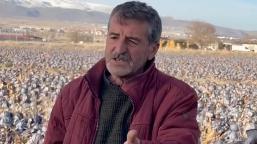 'Bırakıyorum' diye isyan etti: 500 bin TL harcadım, tanesine 5 TL dediler - Resim : 1