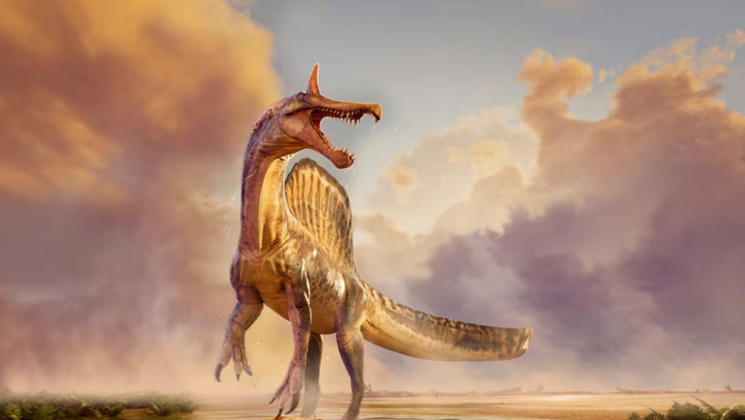 Çölün ortasında şaşırtan dinozor keşfi - Resim : 1