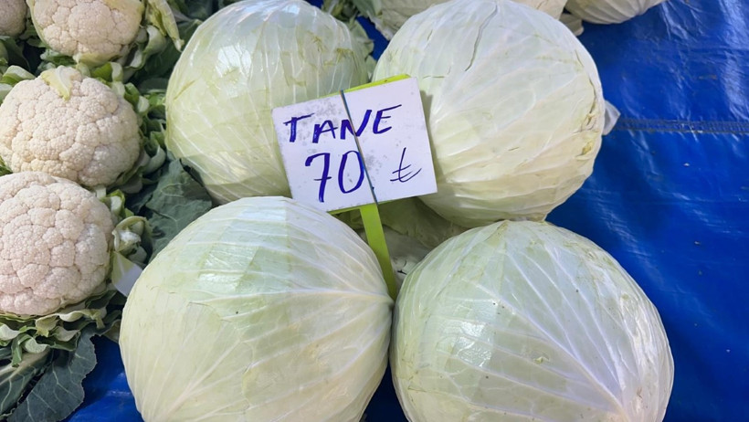 Pazarda 70 lira ama yüzbinlercesi tarlada çürüdü - Resim : 1