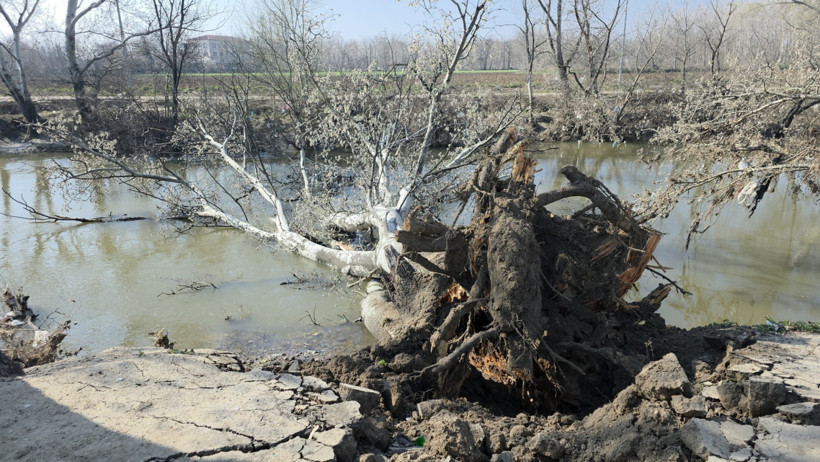 Tunca Nehri kıyısında toprak kayması - Resim : 1