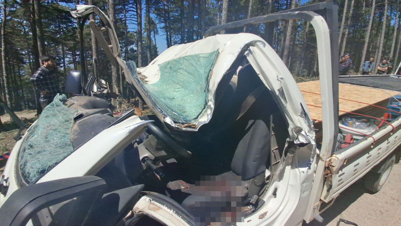 Kamyonetin &uuml;zerine ağa&ccedil; devrildi: &Ouml;l&uuml; ve yaralılar var - Resim : 1