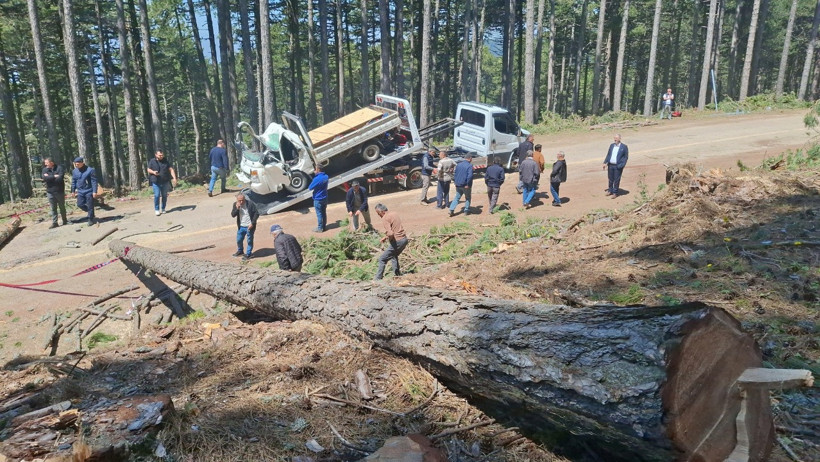 Kamyonetin &uuml;zerine ağa&ccedil; devrildi: &Ouml;l&uuml; ve yaralılar var - Resim : 3