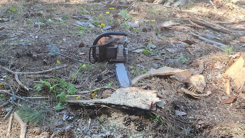 Kamyonetin &uuml;zerine ağa&ccedil; devrildi: &Ouml;l&uuml; ve yaralılar var - Resim : 4