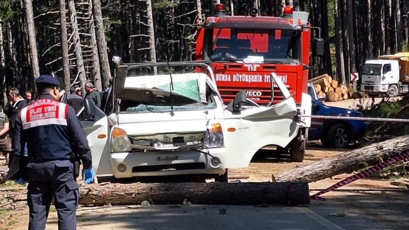 Kamyonetin &uuml;zerine ağa&ccedil; devrildi: &Ouml;l&uuml; ve yaralılar var - Resim : 2