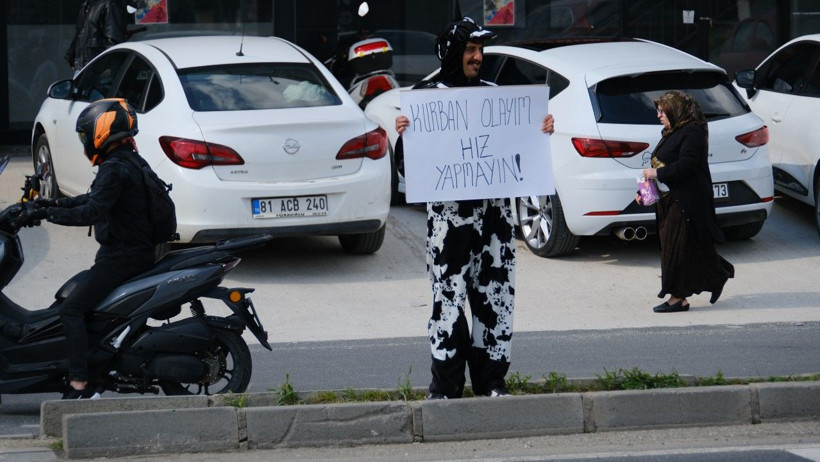 Trafikte inek kostümüyle uyarı - Resim: 2