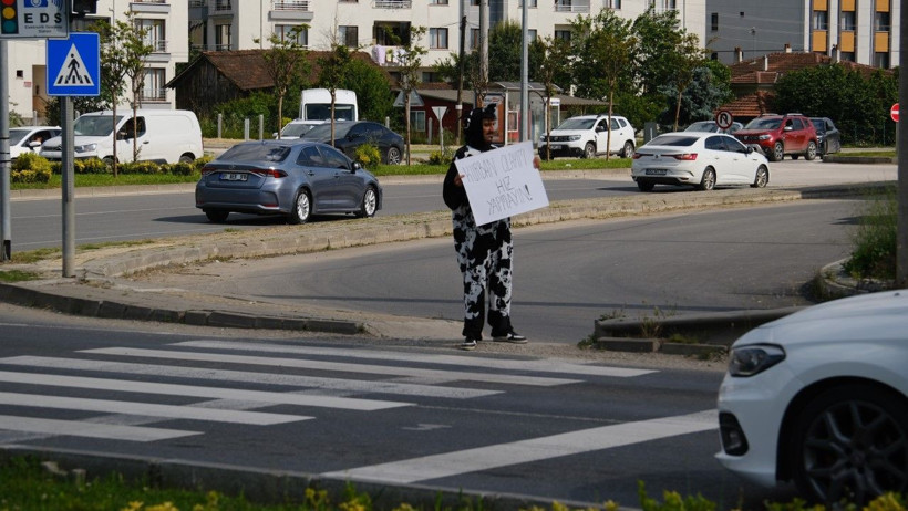 Trafikte inek kostümüyle uyarı - Resim: 4