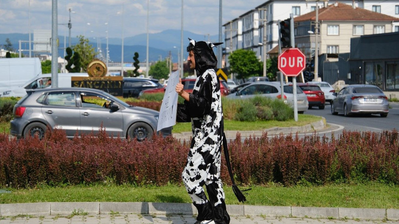Trafikte inek kostümüyle uyarı - Resim: 5