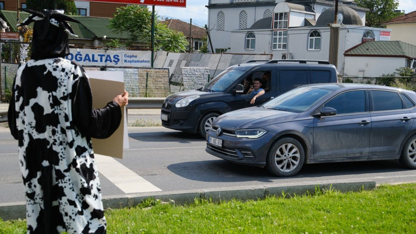 Trafikte inek kostümüyle uyarı - Resim: 6