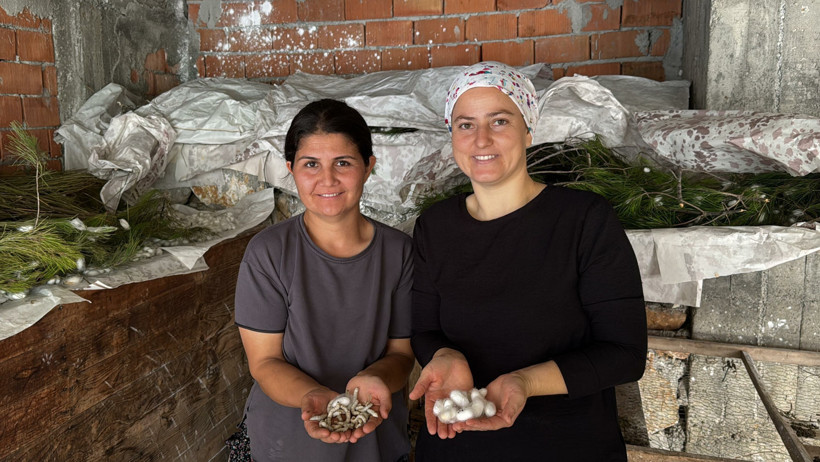 Bir paketle 80 bin lira kazandırıyor: Evlerinin alt katını adeta fabrika - Resim : 1