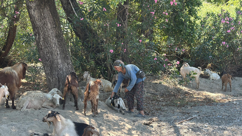 Muğla'da yaşayan 90 yaşındaki Rabia nine gençlere taş çıkarıyor - Resim : 1
