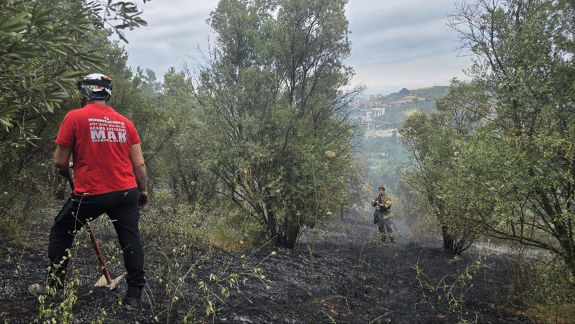 Bursa'da bağ evinde çıkan yangın ormana sıçradı - Resim : 2