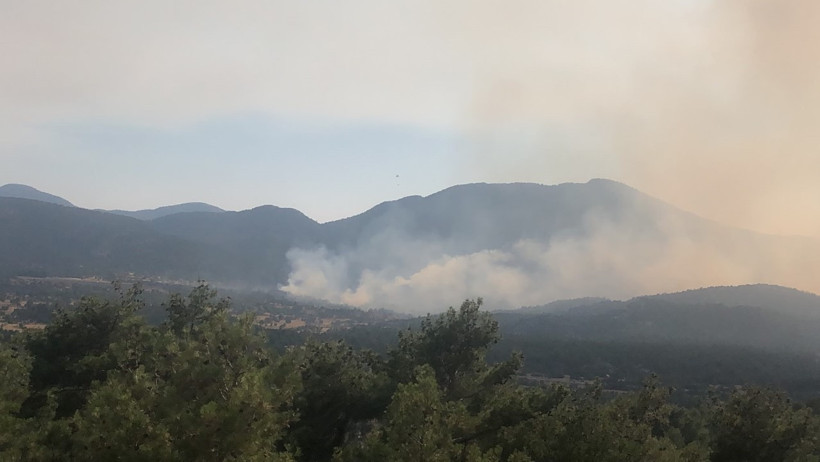 Antalya'da orman yangını - Resim : 2