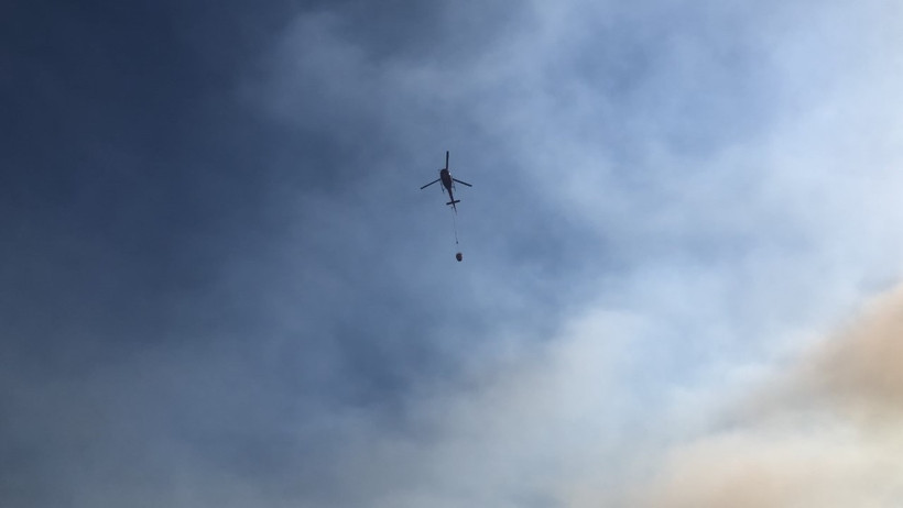 Antalya'da orman yangını - Resim : 1