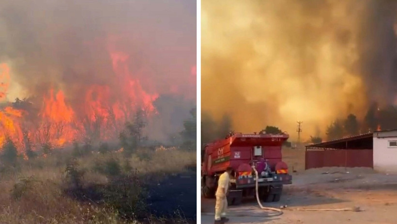 Çanakkale'de orman yangını - Resim : 3