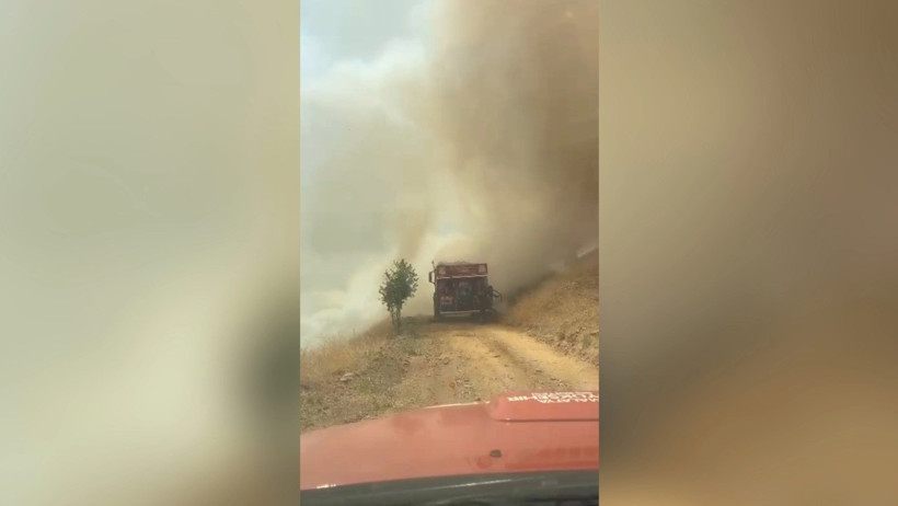 Malatya'da orman yangını - Resim : 1