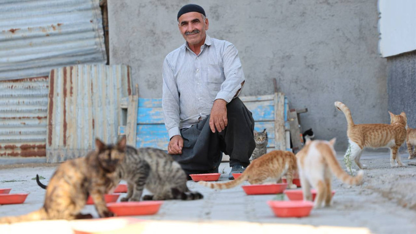 Veteriner ekip Dündar'a destek sağlıyor.