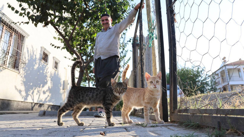 Dündar'a kedi maması teslim edildi.