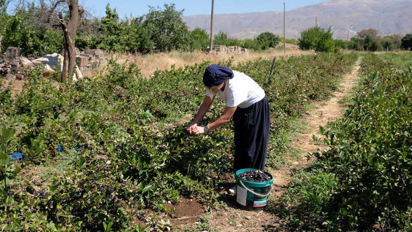 Dondurma yerken tanıştı üreticisi oldu: Değerini bilenler kilo kilo alıyor - Resim : 3