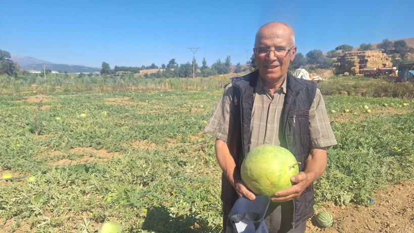 Manisa'da dede mirasını toprağa ekti hepsi bal k&uuml;p&uuml;ne d&ouml;n&uuml;şt&uuml; - Resim : 1